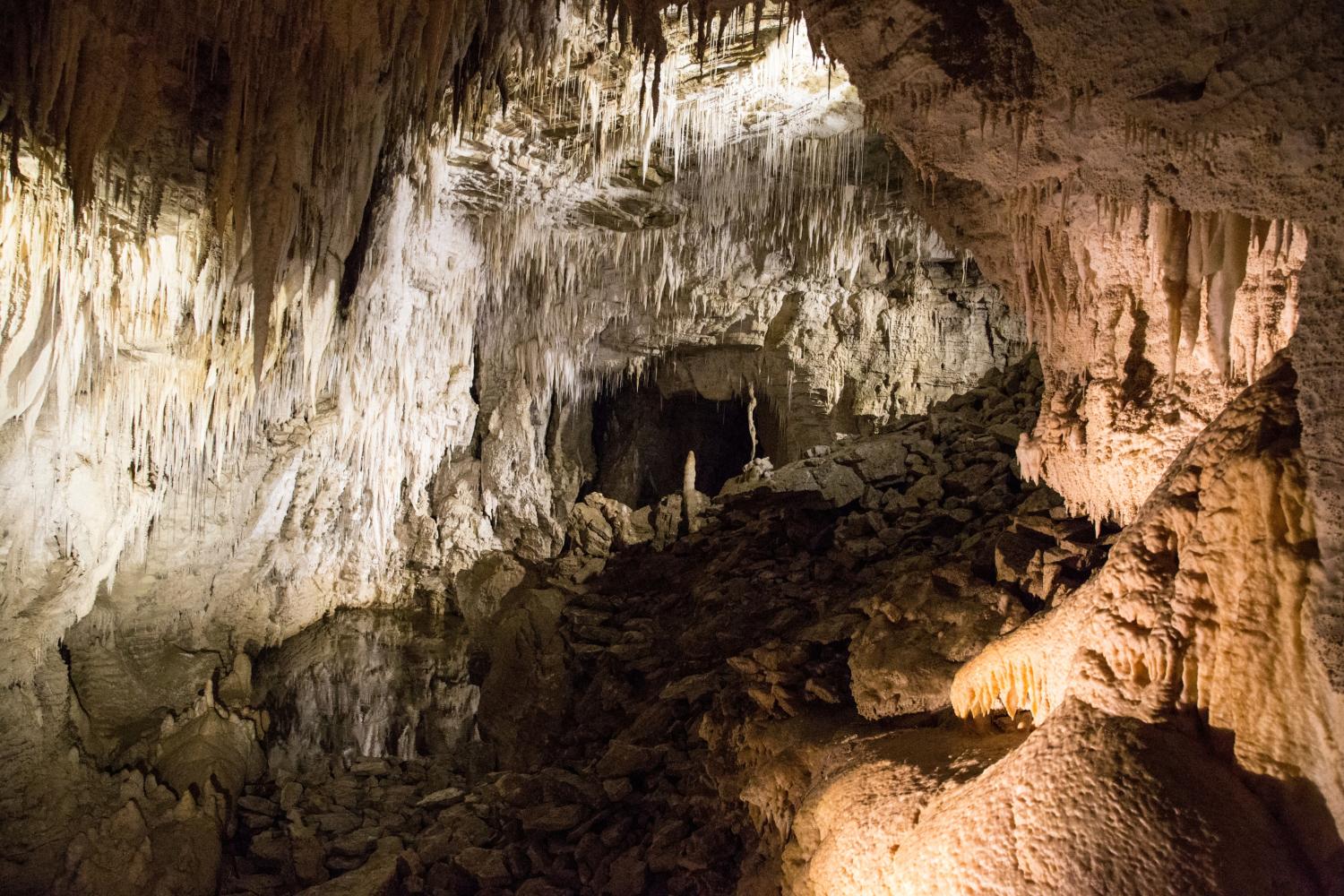 Grottes de Waitomo