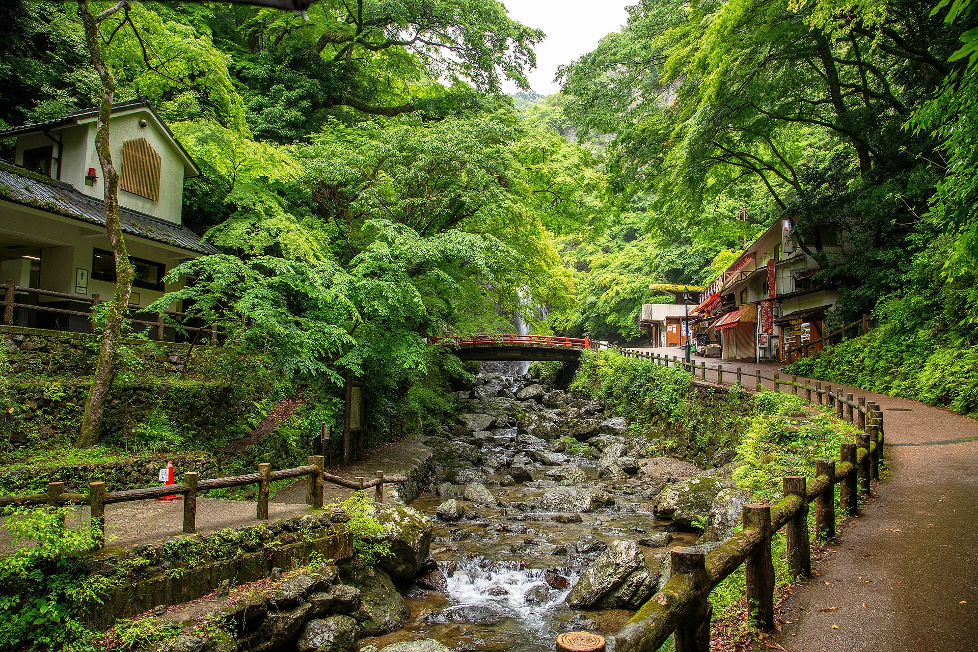 Parc quasi national de Meiji no Mori