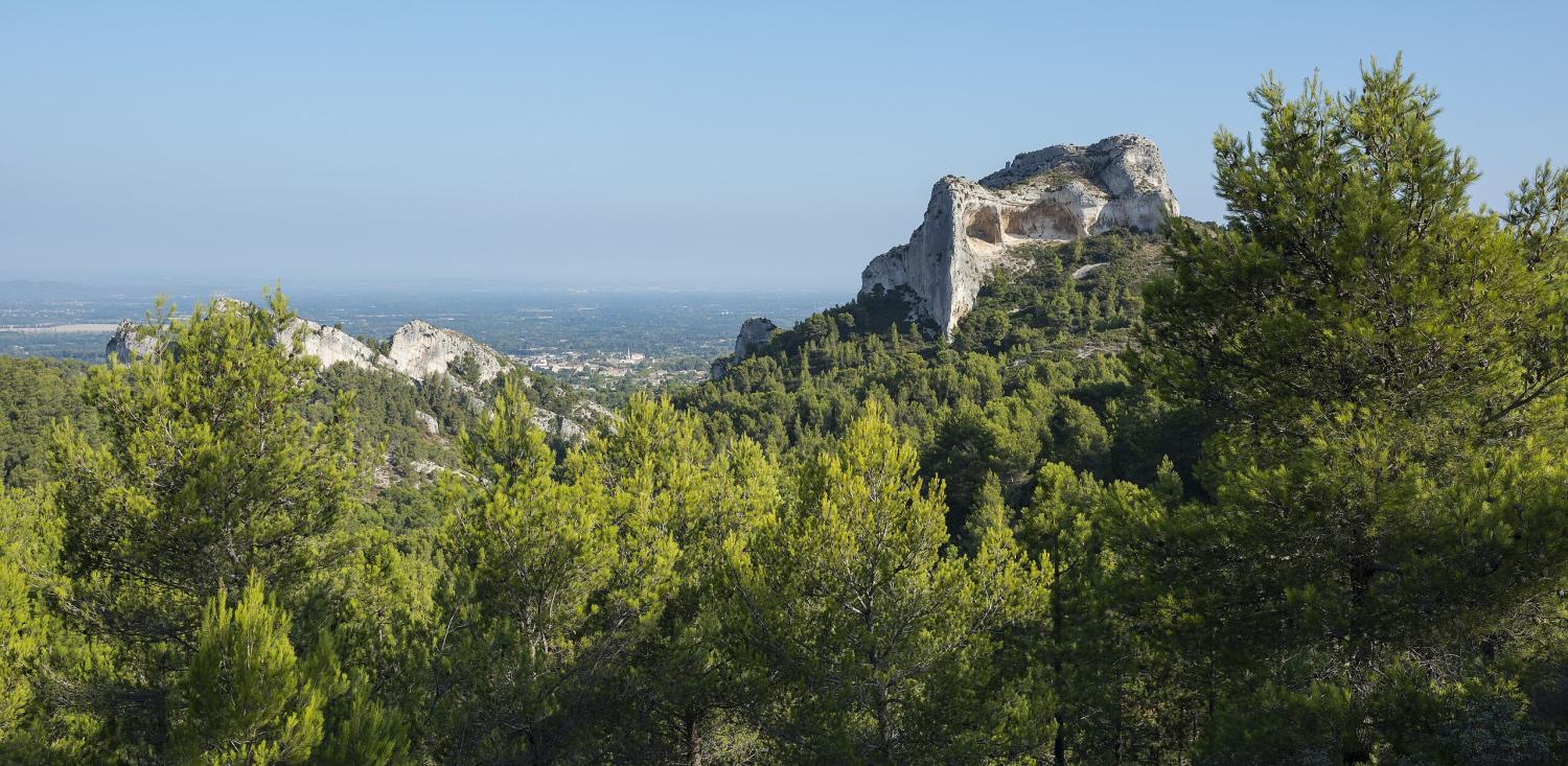 Mont Gaussier à Saint Rémy de Provence