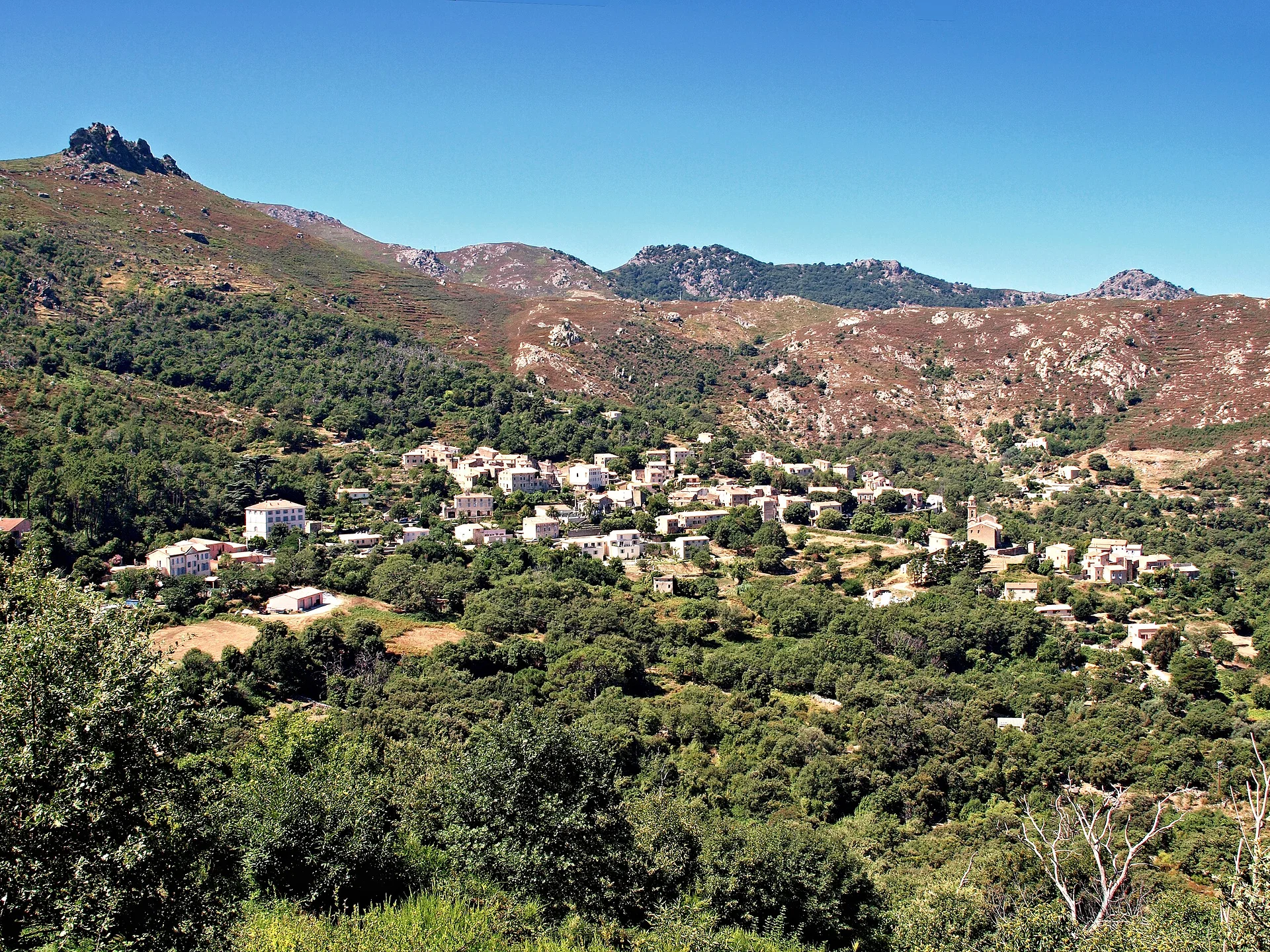 Feliceto Feliceto — Feliceto (France)