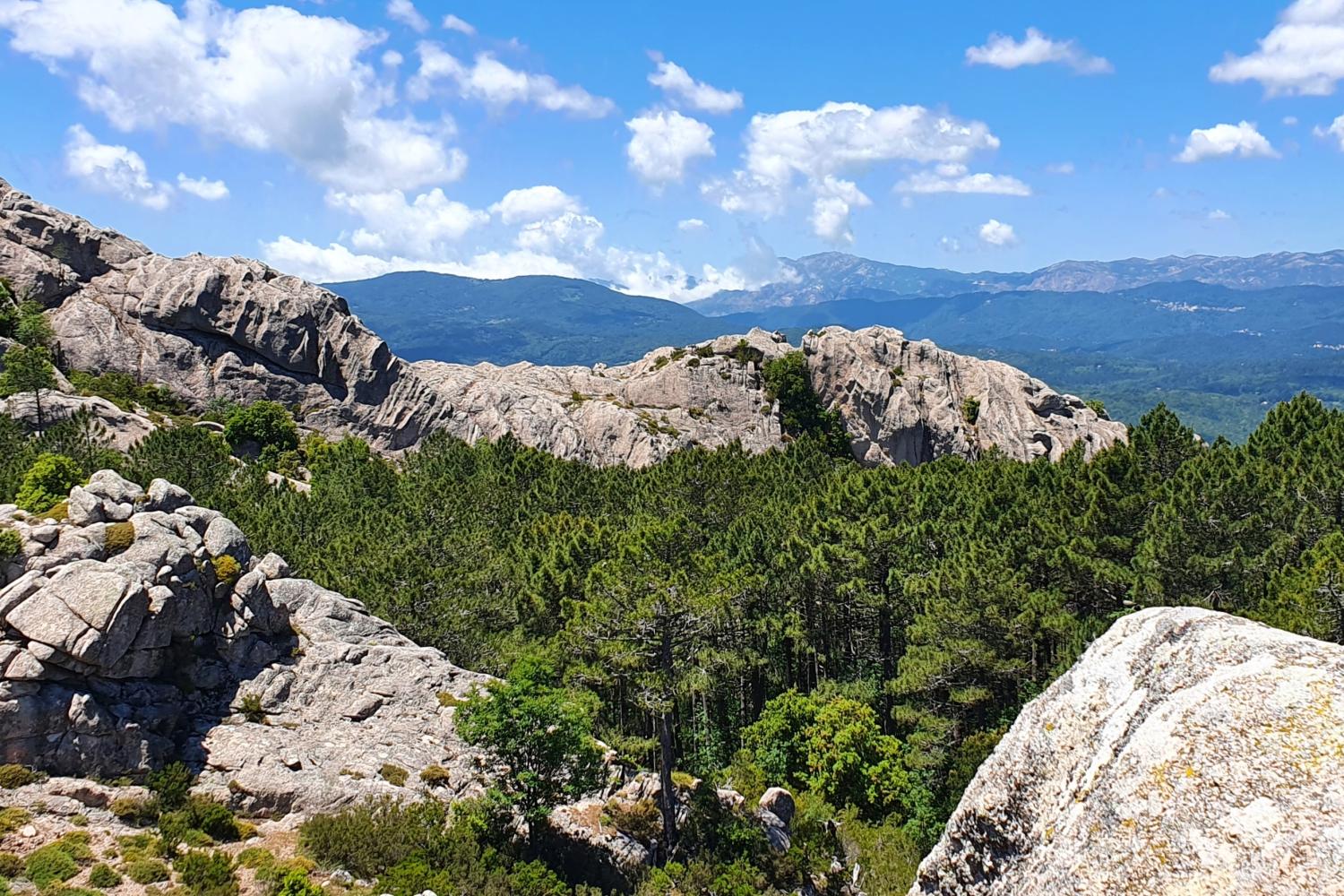 Col d'Illarata près de Zonza