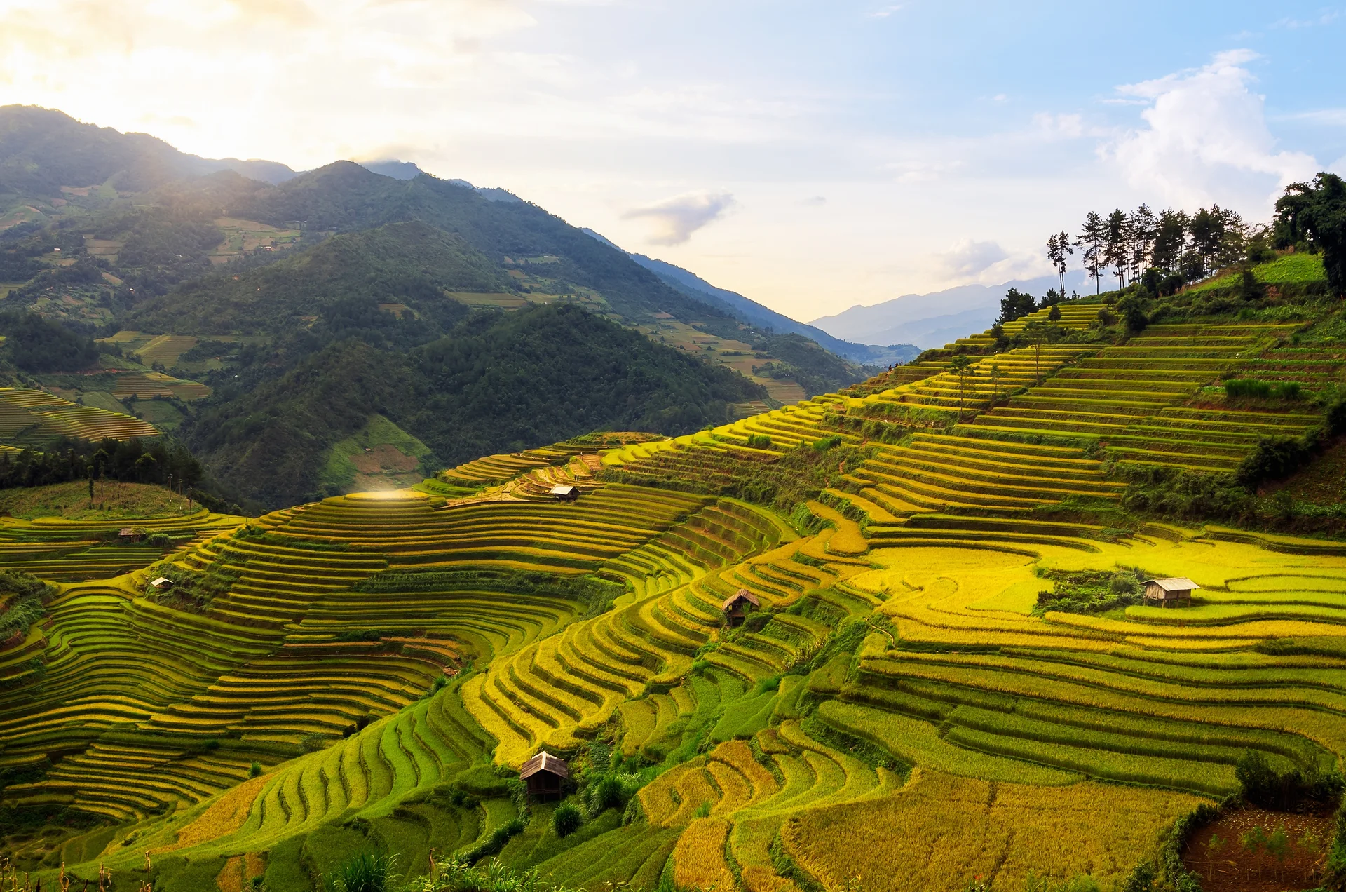 Rizières en terrasses de Mù Cang Chải