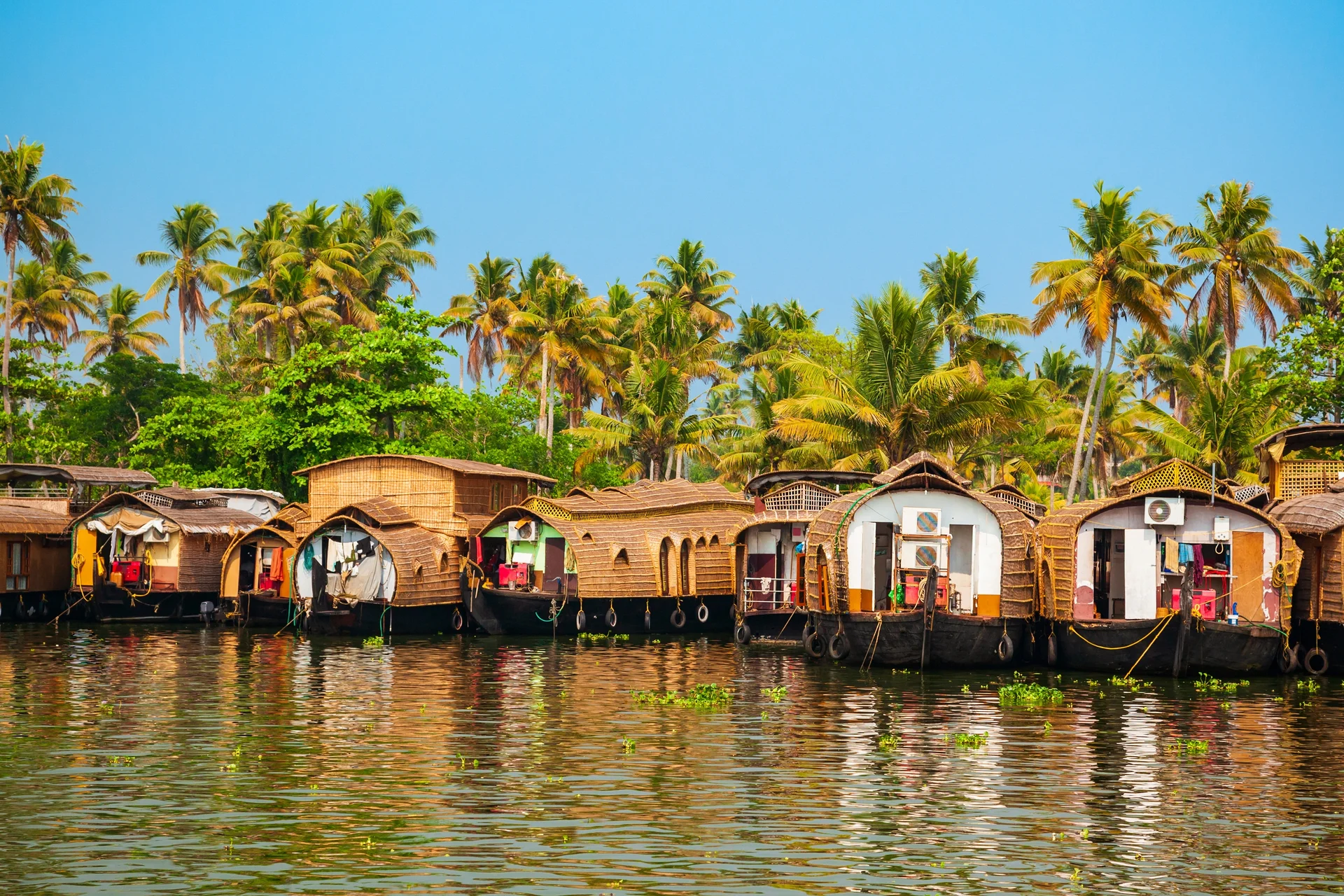 Backwaters d'Alappuzha