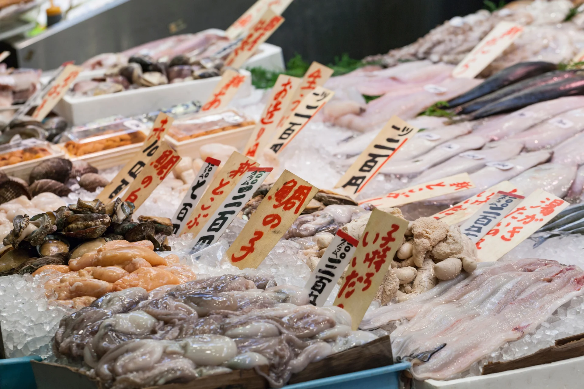 Marché aux poissons de Tsukiji — Marché aux poissons de Tsukiji (Japon)