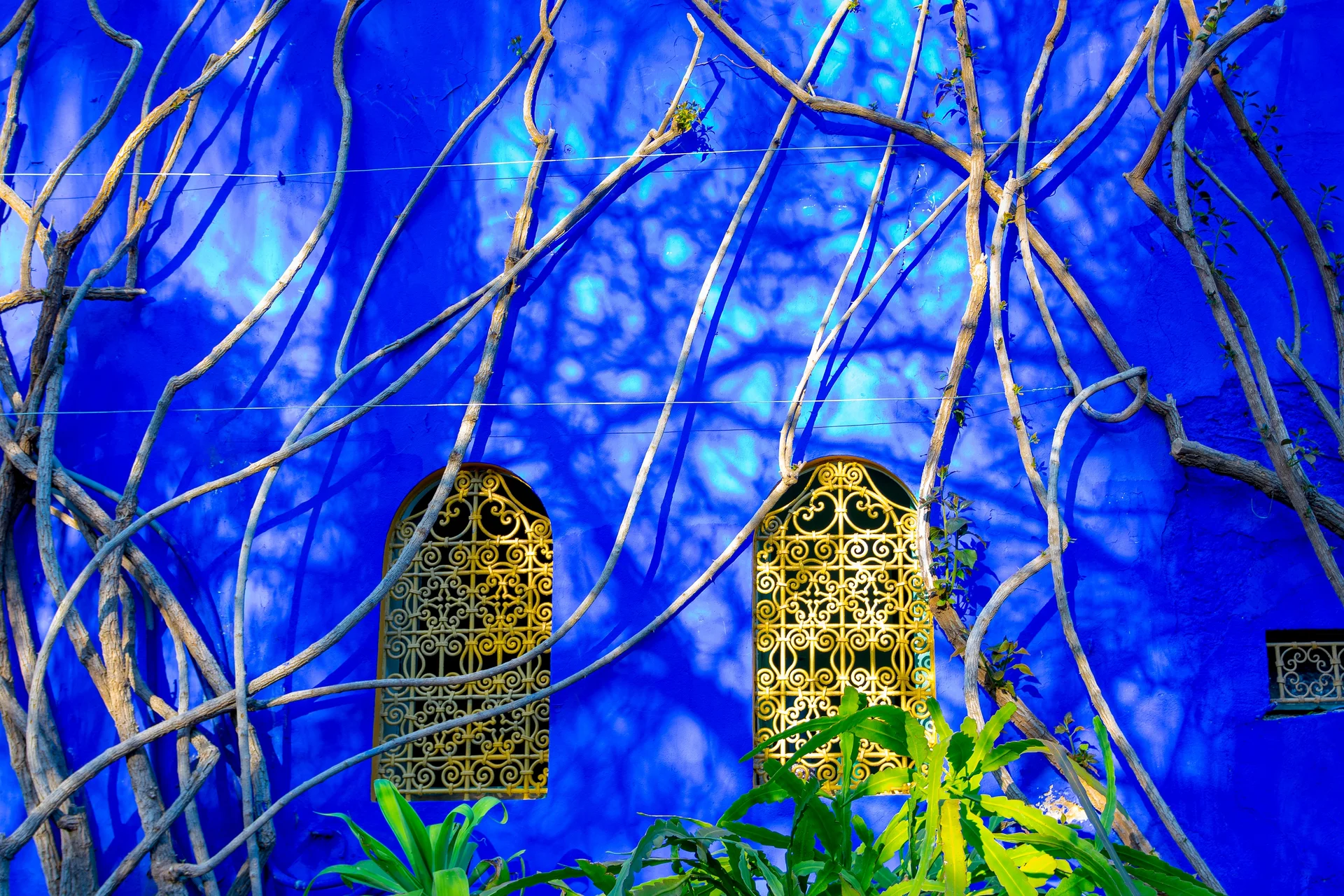 Jardin Majorelle