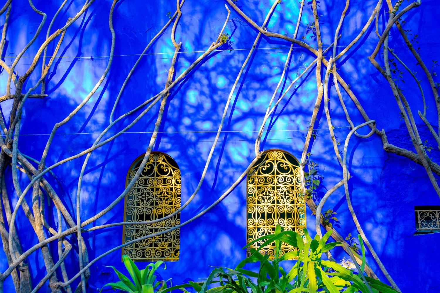 Jardin Majorelle