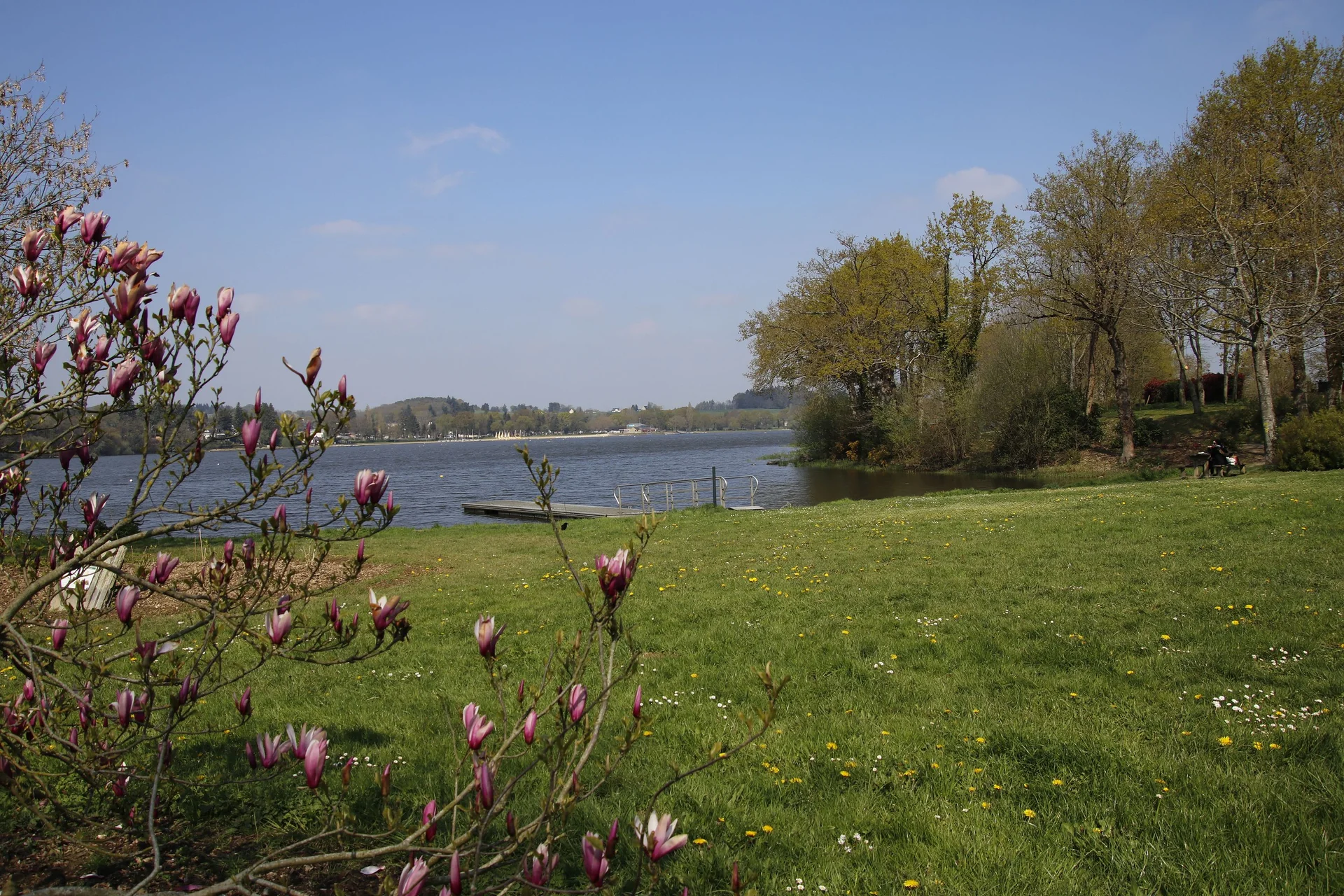 Etang au duc coté Ploërmel — Ploërmel (France)