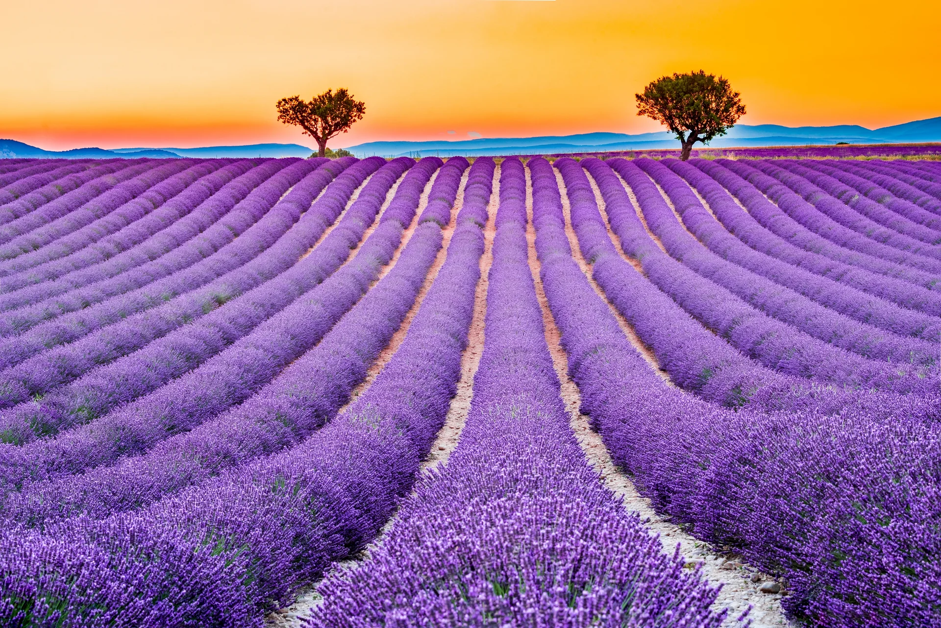 Valensole — Valensole (France)