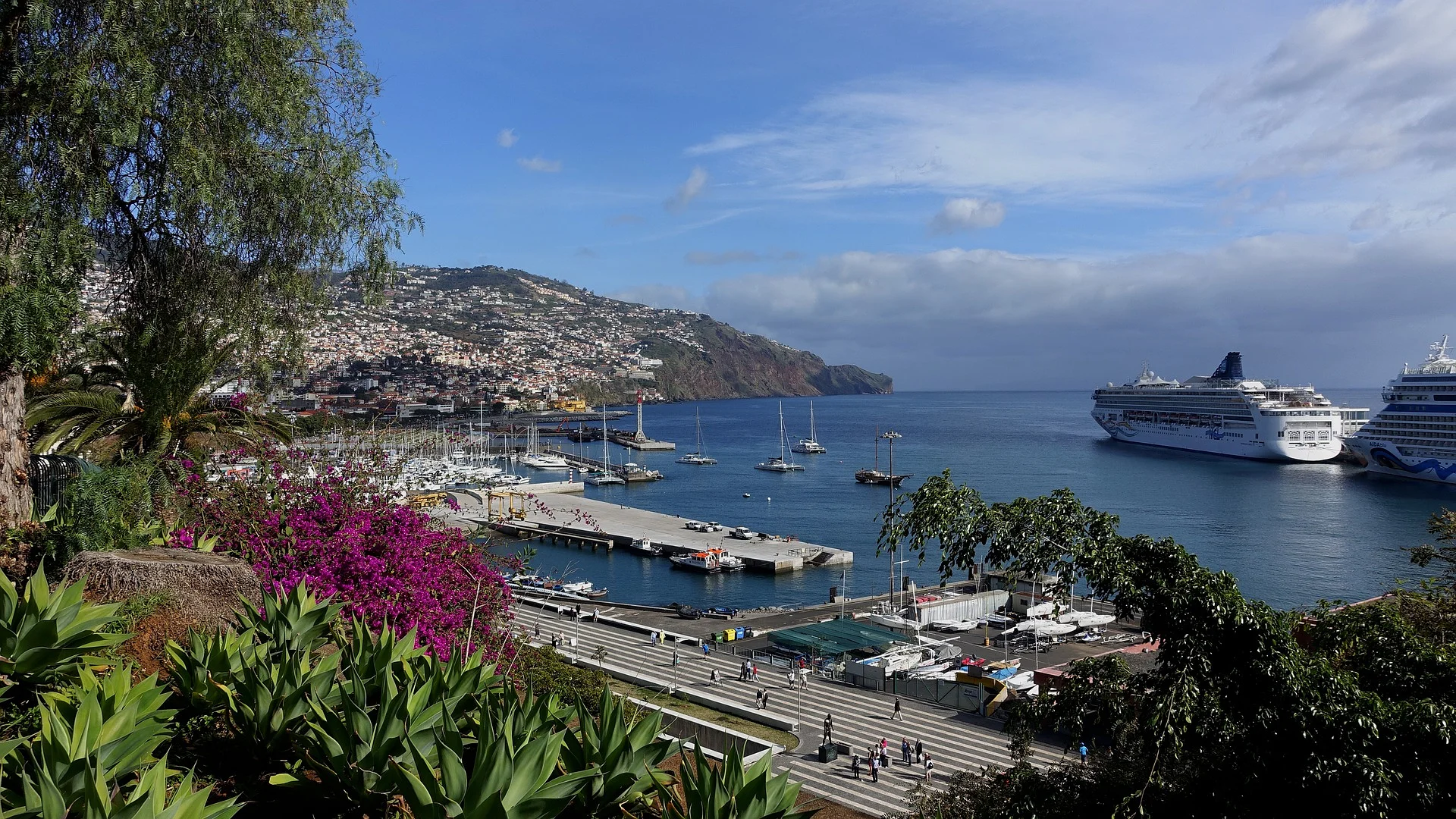Marina de Funchal