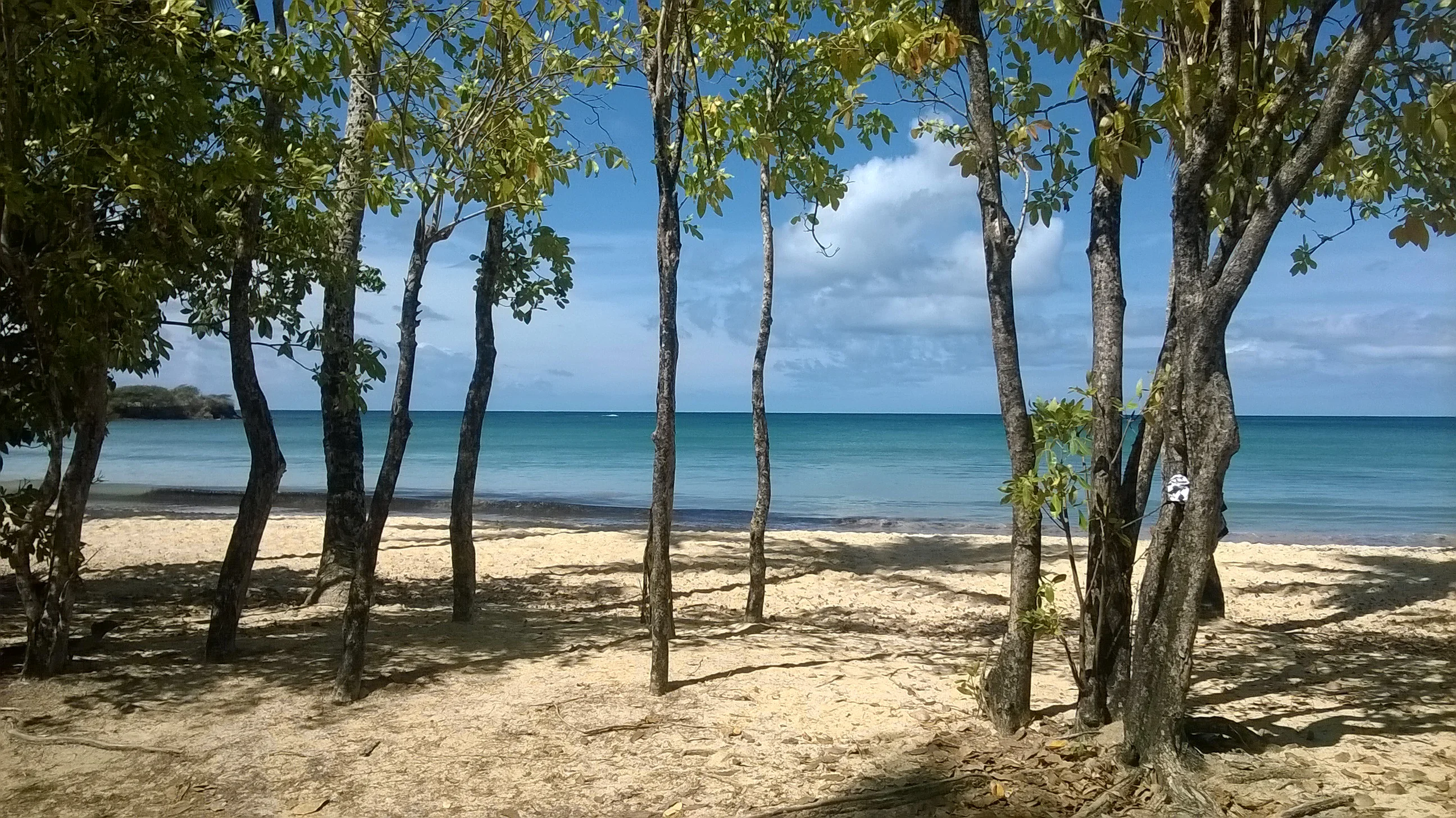 Grande Anse des Salines