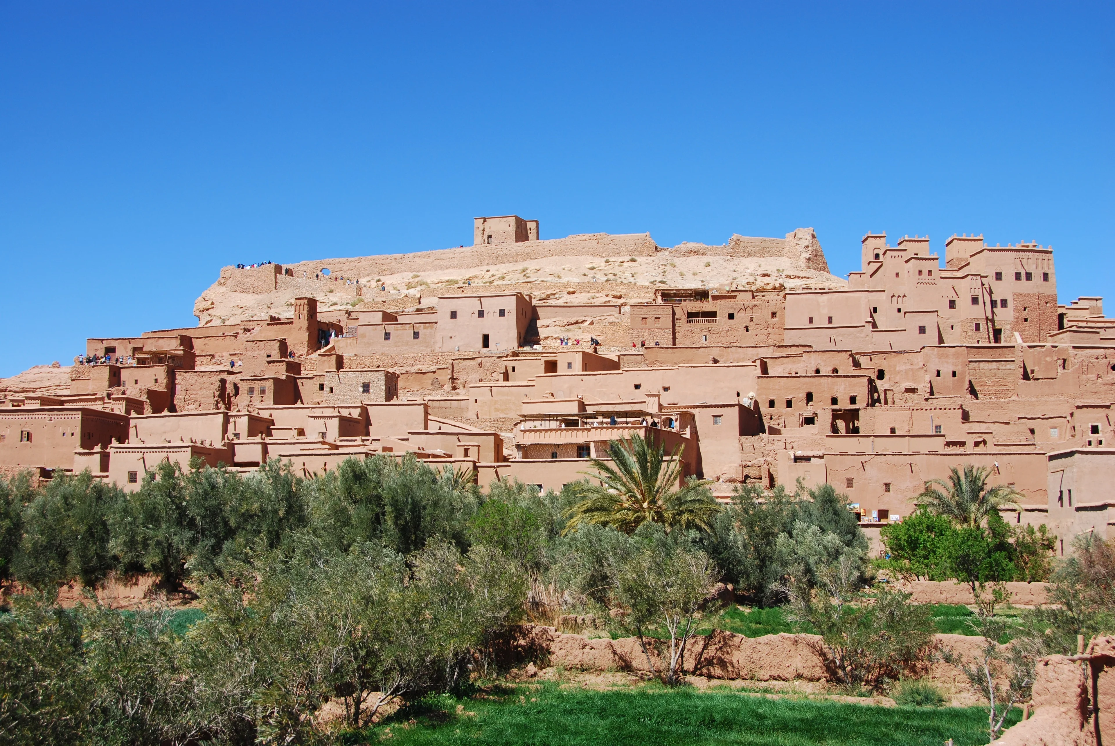 Les immanquables marocains