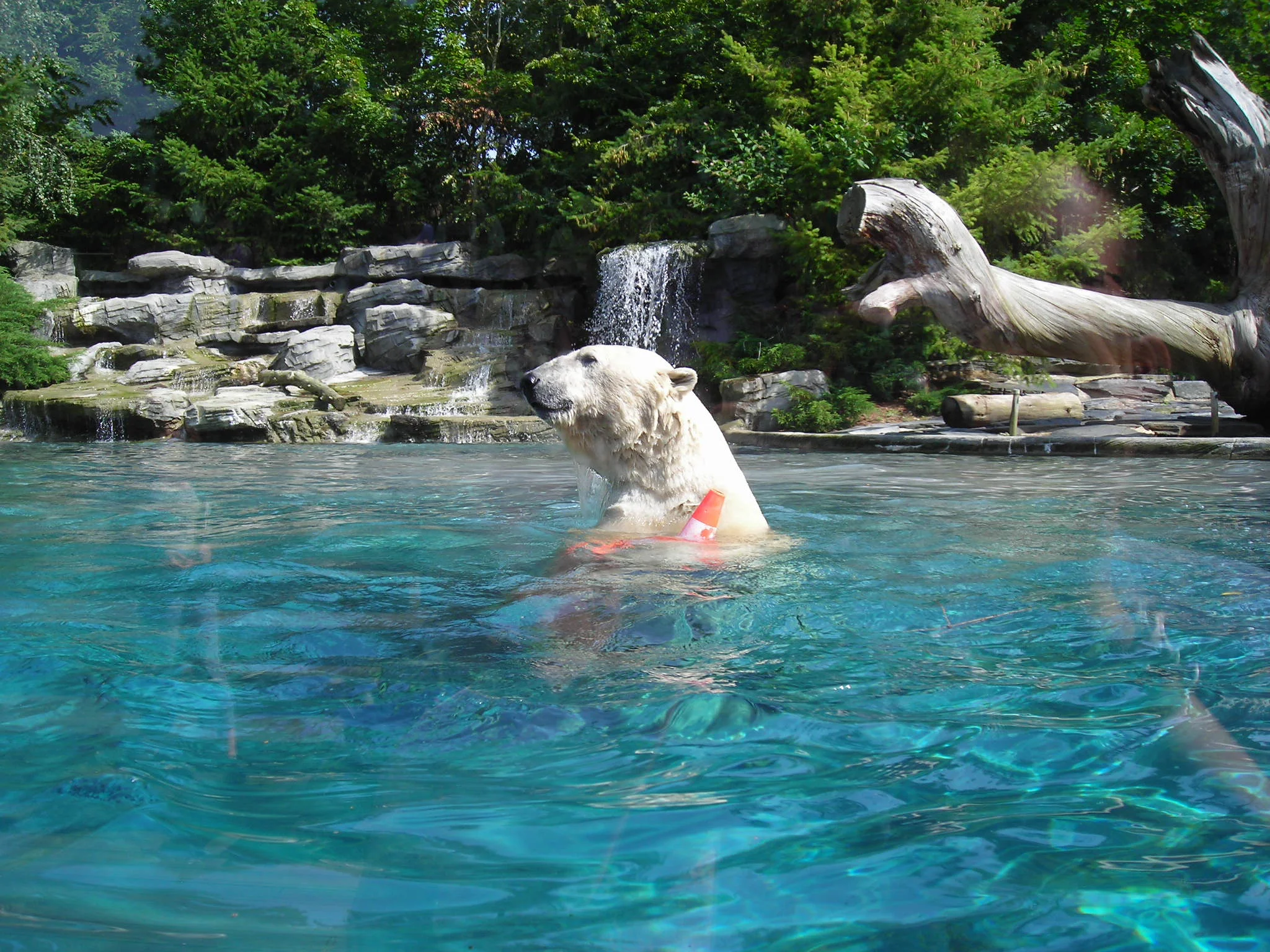 Zoo de la Flèche