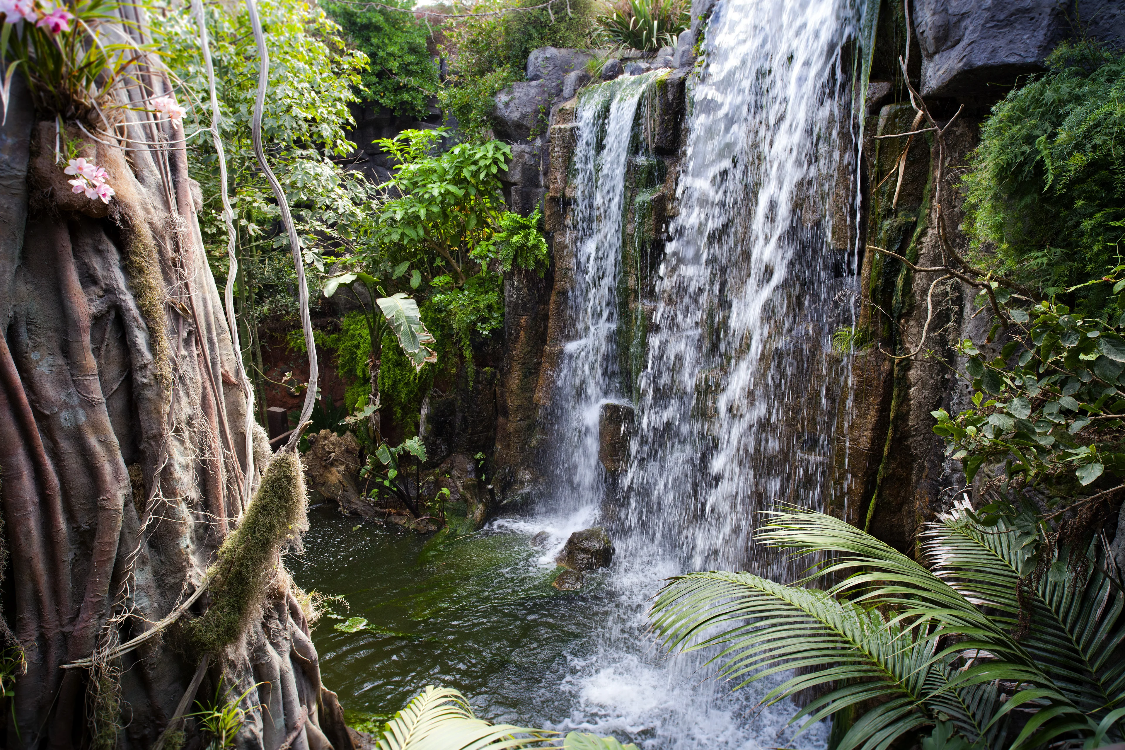 Espace Jungle de l'Aquarium de Palma