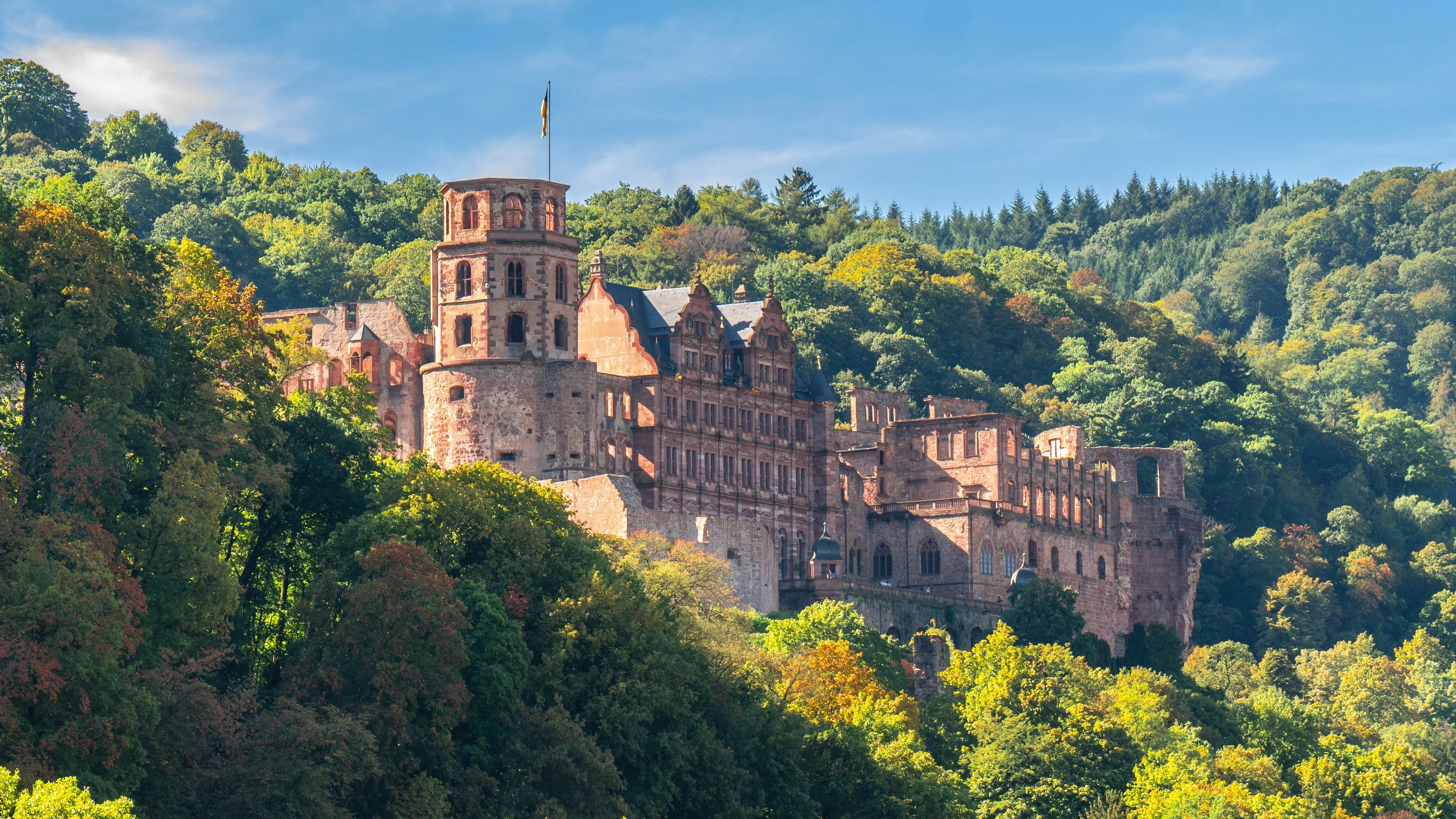Chateau de Heidelberg 