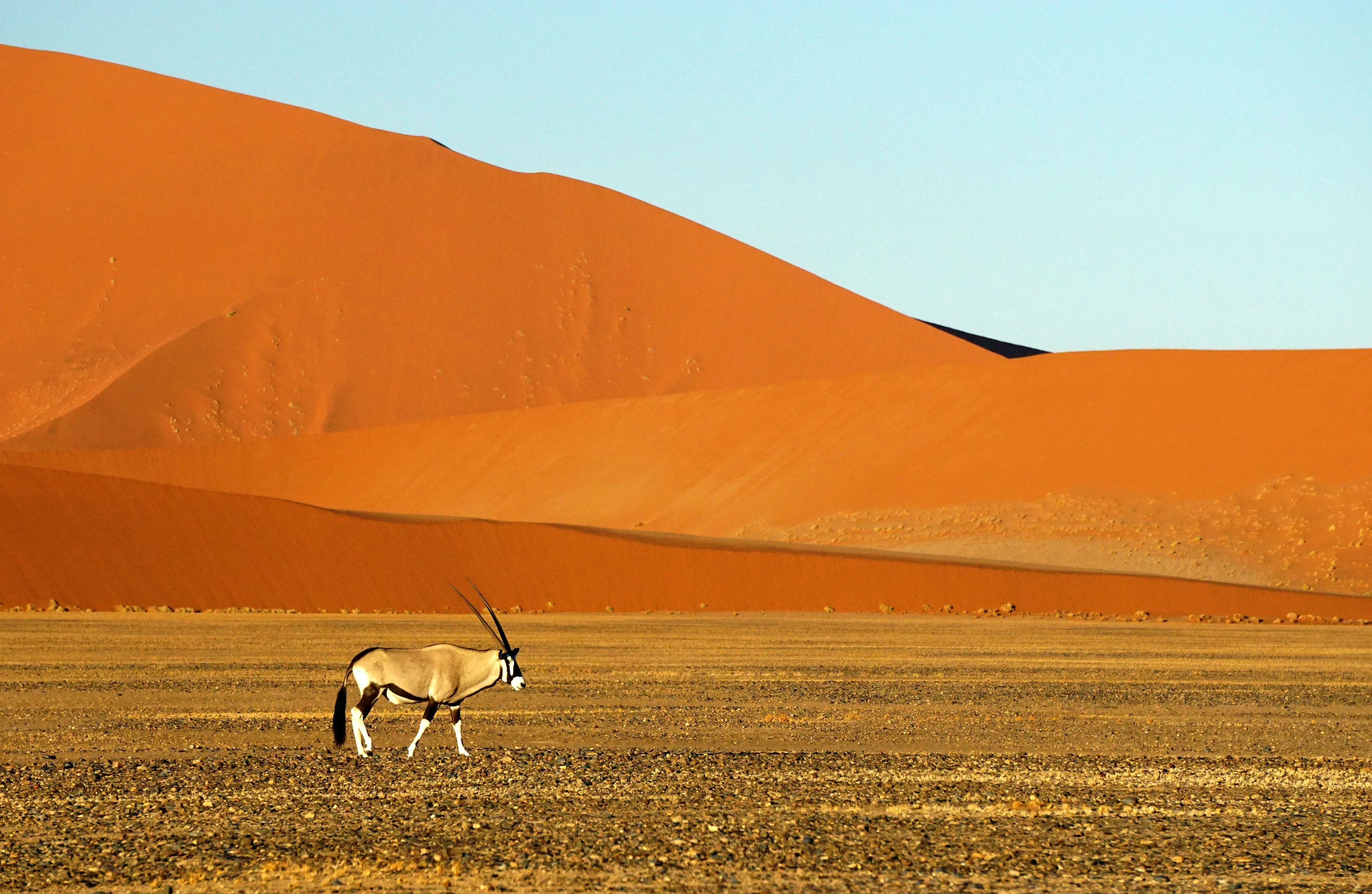 Parc national de Namib Naukluft