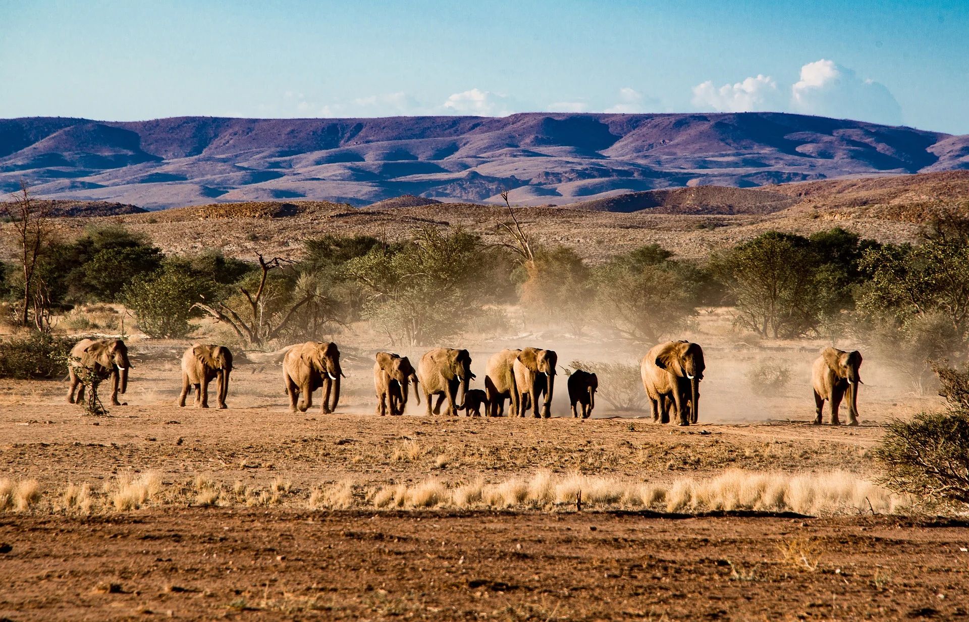 Parc national d'Etosha
