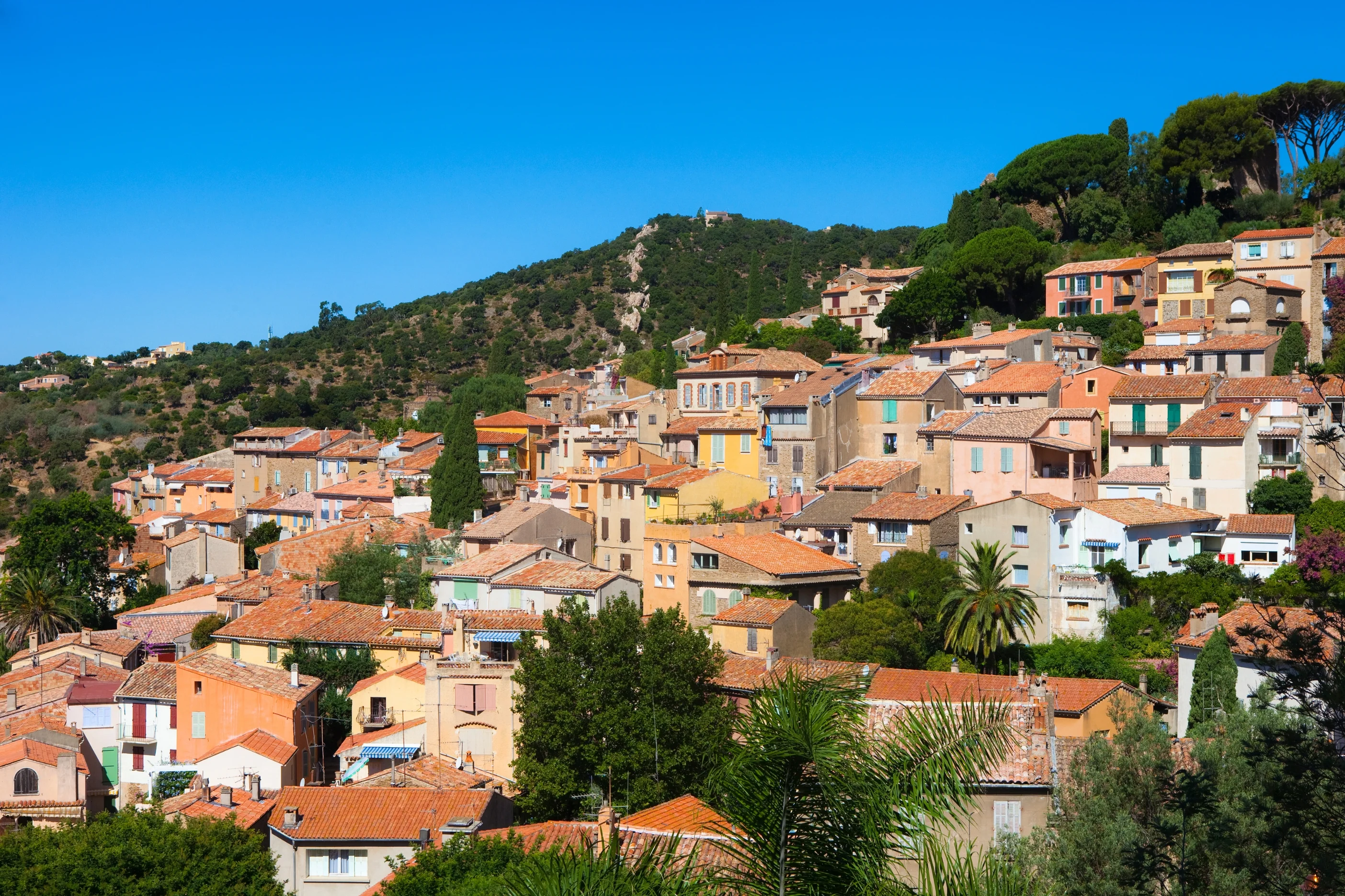 Bormes les Mimosas