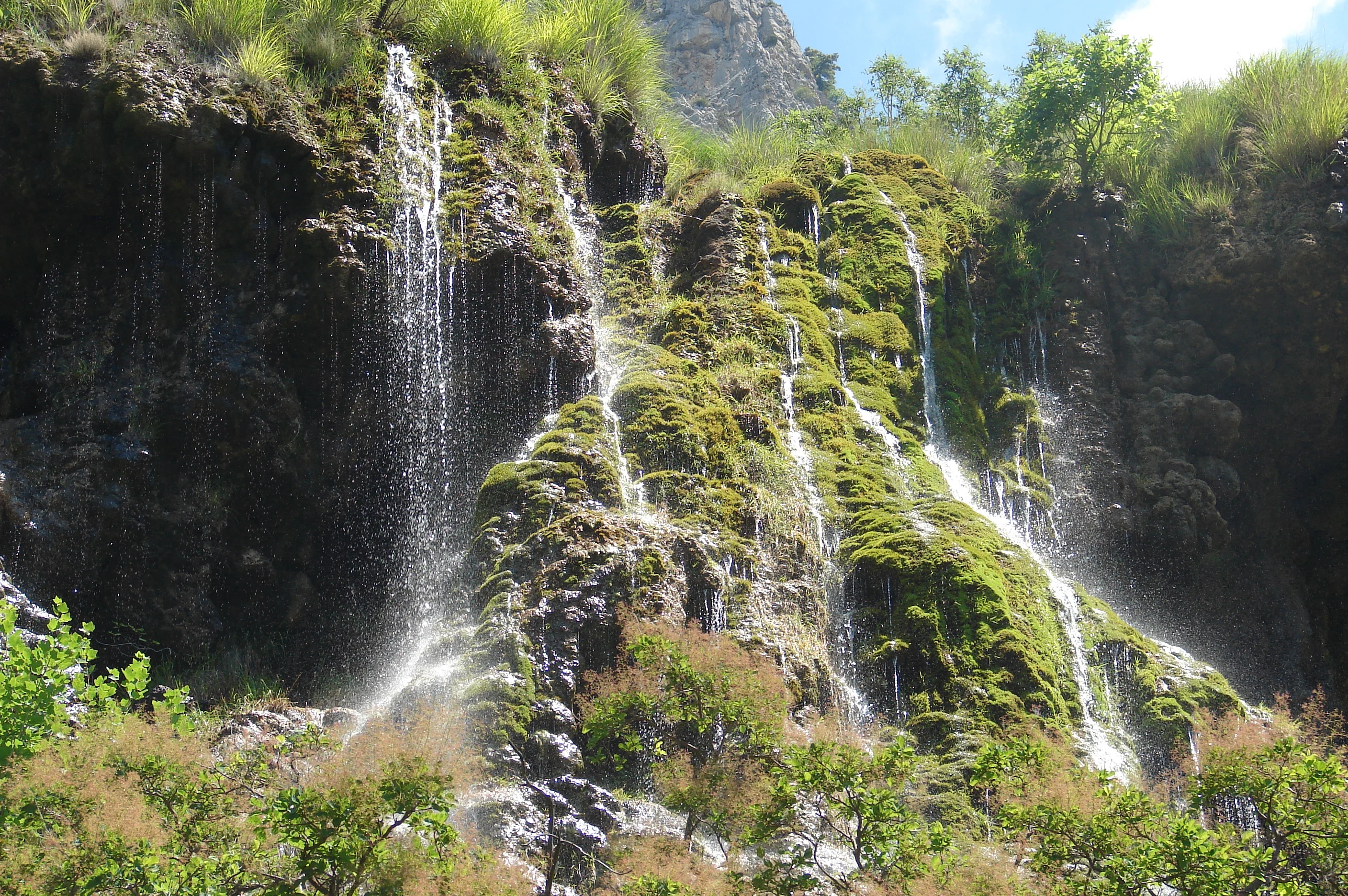 Réserve naturelle de Saint Maurin