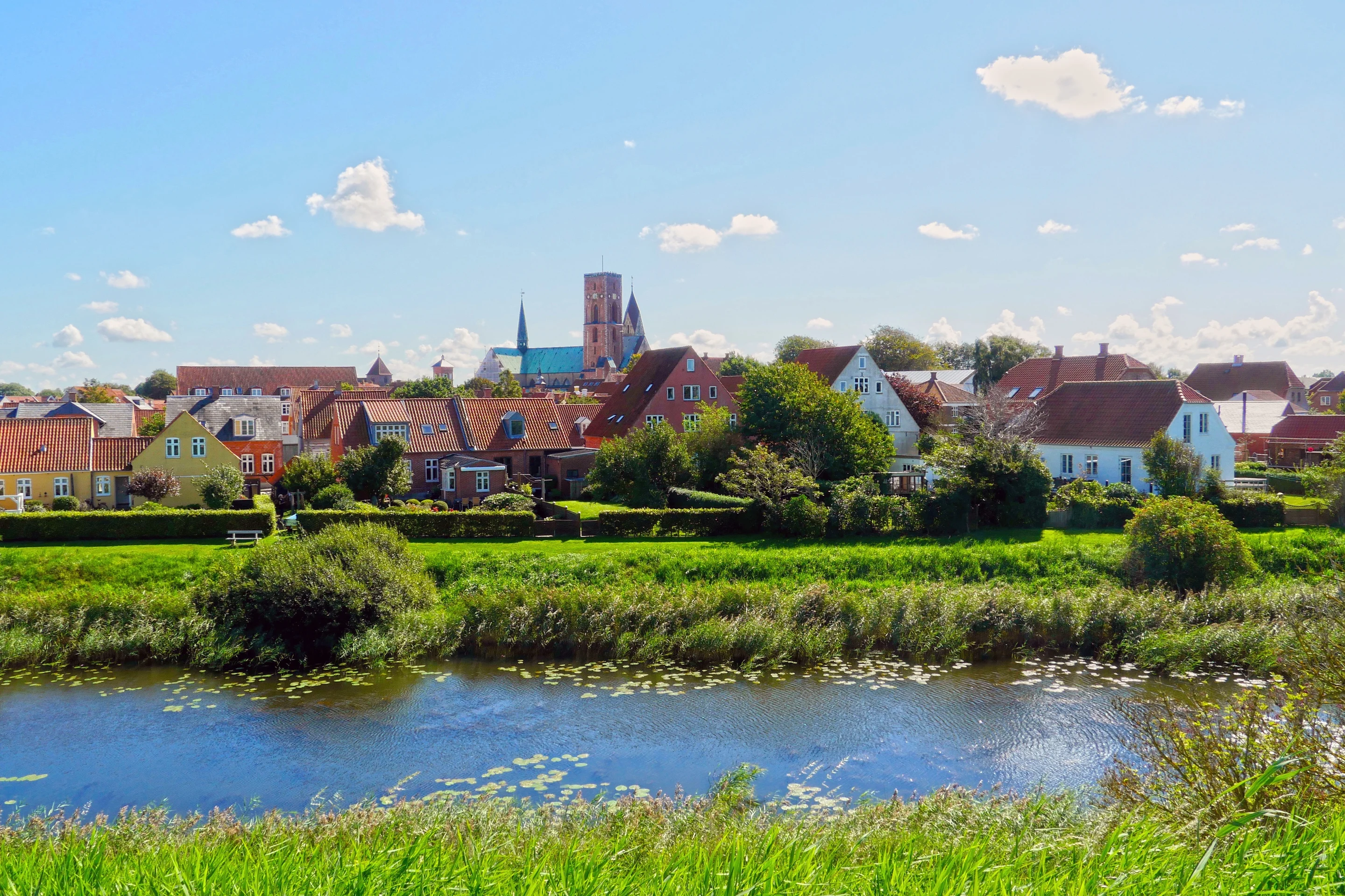 Ribe