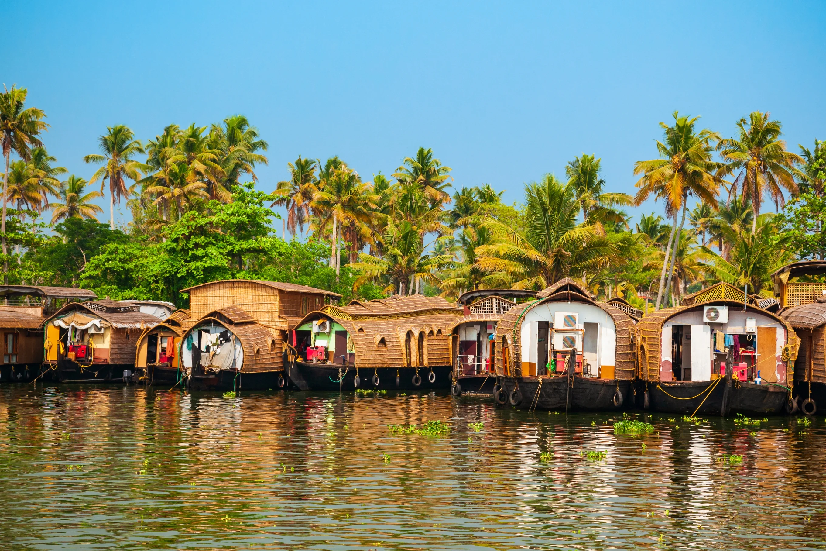 Backwaters d'Alappuzha