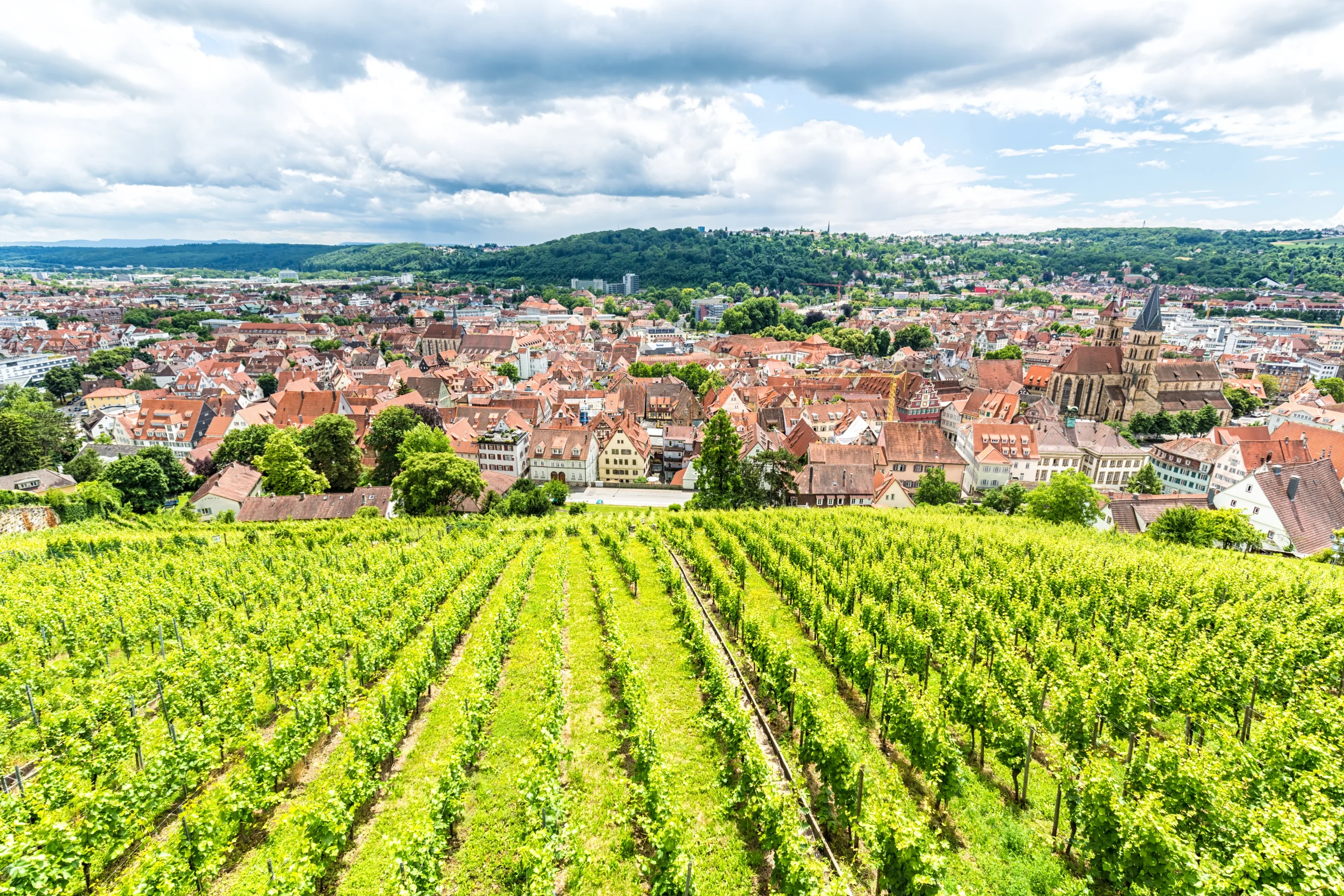 Stuttgart et ses vignes