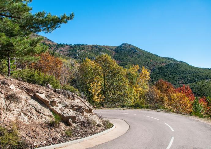 La Corse et ses routes sinueuses : l'aventure vous attend au tournant ;)