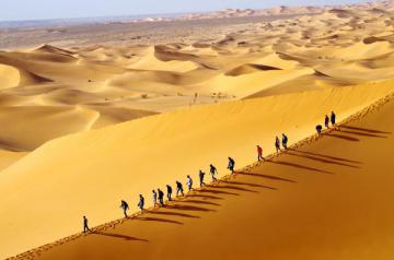Traversée des dunes du désert
