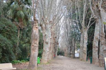 Allée du jardin