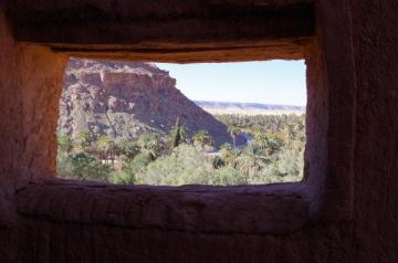 Vue sur l'oasis