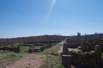 Cité antique de timgad