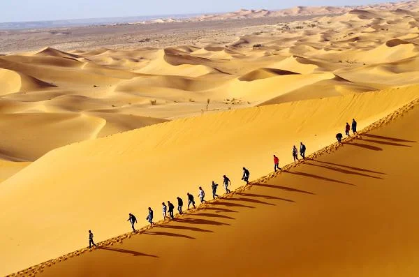 Les oasis de Béni Abbès et Taghit