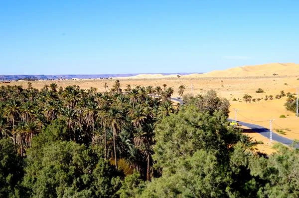 Perspective sur l'oasis Taghit — Béchar (Algérie)