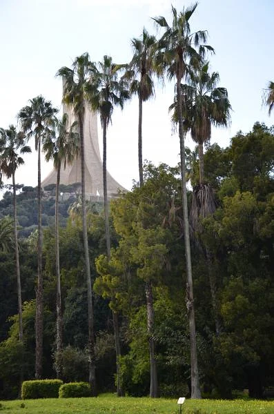 Le jardin à la Française — Monument des Martyrs d'Alger (Algérie)