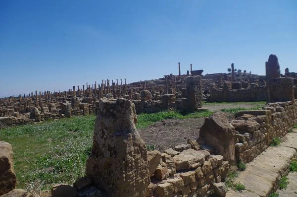 Ruines — Ruines de Timgad (Algérie)