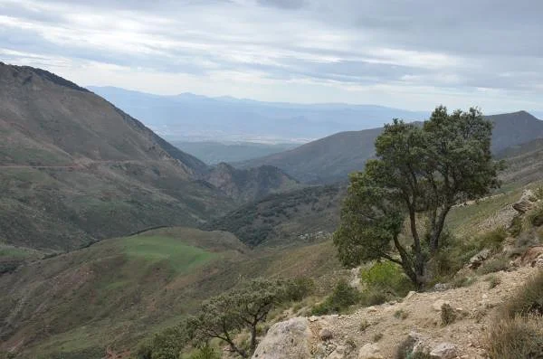 Le Djurdjura — Parc national de Djurdjura (Algérie)