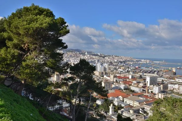 Vue panoramique d'Alger — Jardin d'essai (El-Hamma) (Algérie)