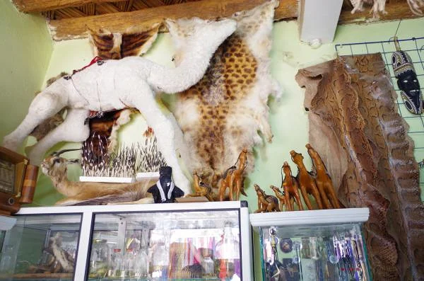 La caverne — Béchar (Algérie)