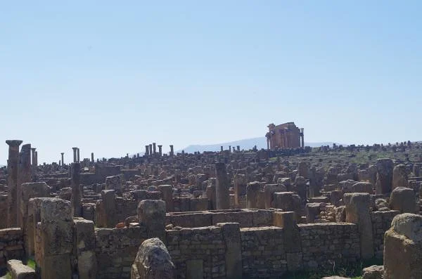 3 hectares de vieilles pierres — Ruines de Timgad (Algérie)