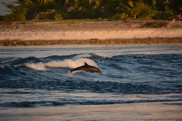 Atolón de Rangiroa