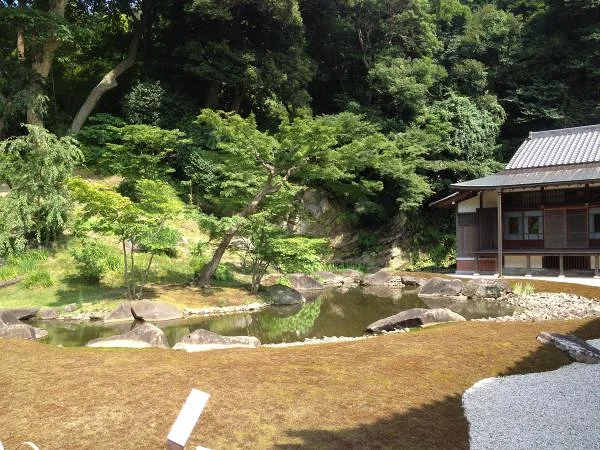 Petit bassin japonais — Kamakura (Japon)