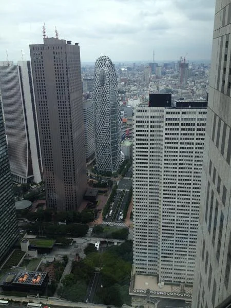 Vue depuis le Metropolitan Government Building — Tokyo (Japon)