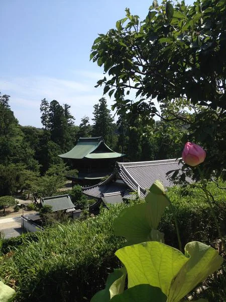 Jardin du temple Kokoku-ji — Temple Hōkoku-ji (Japon)