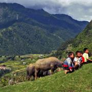 Découverte la vie au Vietnam