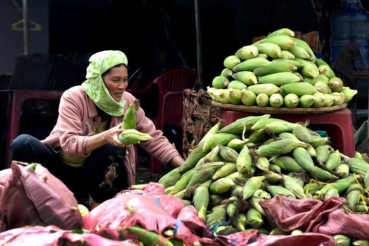 Voyage Nord du vietnam (Viêt Nam)