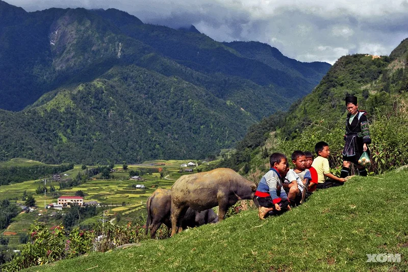 Découverte la vie au Vietnam
