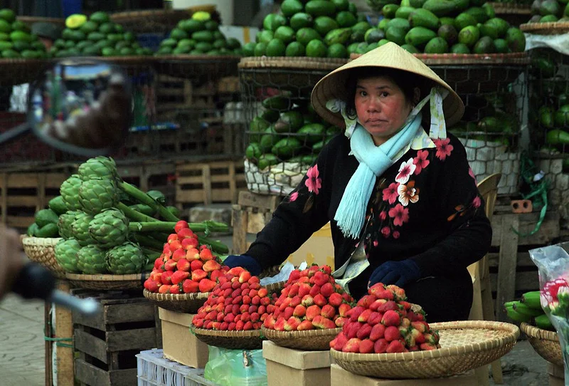 Voyage La baie D'halong — Baie d'Hạlong (Viêt Nam)