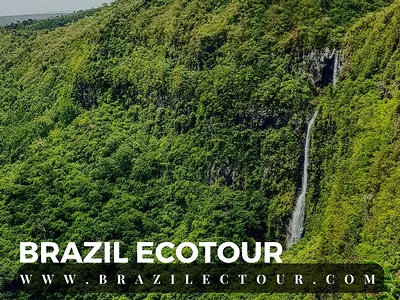 circuit foret amazonienne