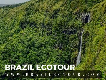 circuit foret amazonienne