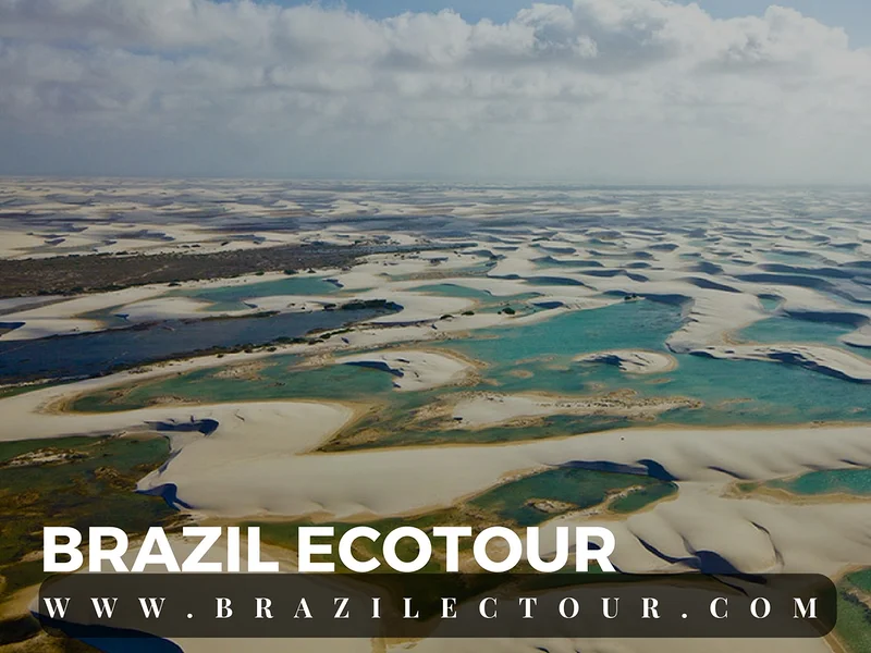 Parc des lençois Maranhenses — Parc national Lencois Maranhenses (Brésil)