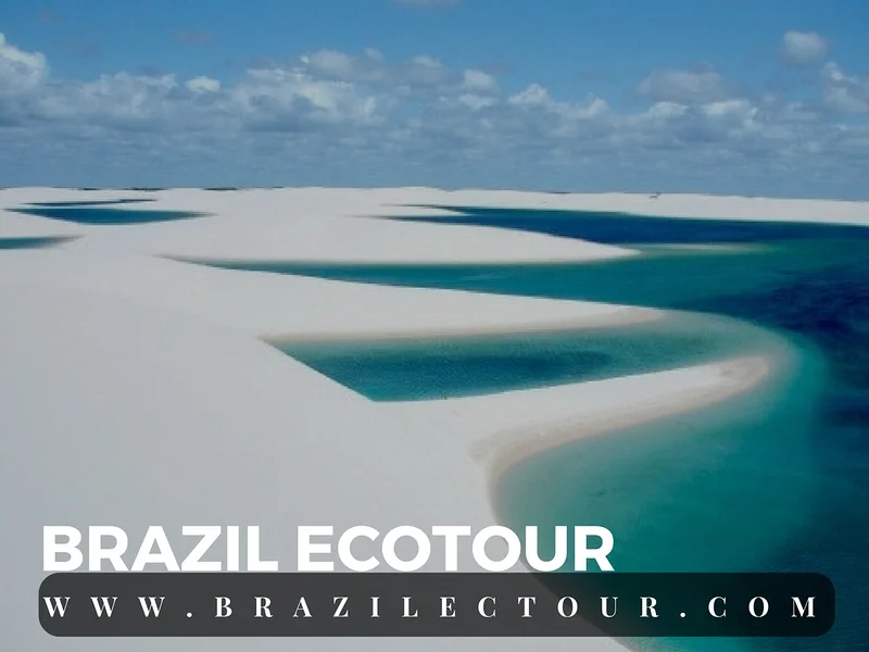 Parc des lençois Maranhenses — Parc national Lencois Maranhenses (Brésil)